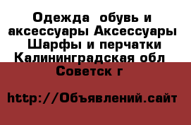 Одежда, обувь и аксессуары Аксессуары - Шарфы и перчатки. Калининградская обл.,Советск г.